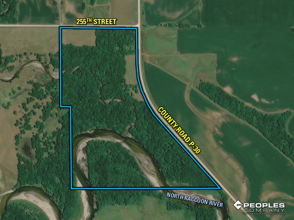 Listing Photo: 95.80 Acres - Google Close LOGO